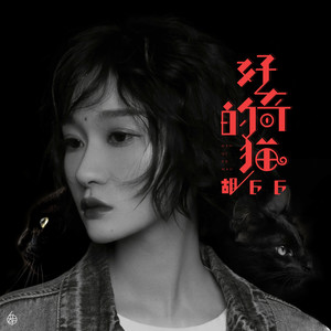 胡66《好奇的猫》Flac/MP3格式 无损音乐下载-无损音乐源