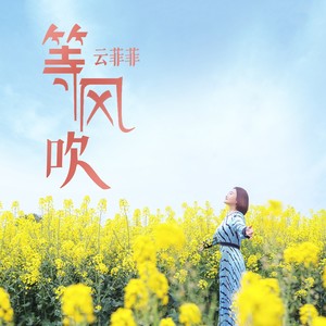 云菲菲《等风吹》Flac/MP3格式 无损音乐下载-无损音乐源