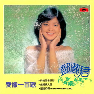 邓丽君《恩爱夫妻》Flac/MP3格式 无损音乐下载-无损音乐源