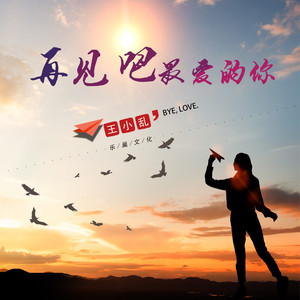 王小乱《再见吧最爱的你》Flac/MP3格式 无损音乐下载-无损音乐源