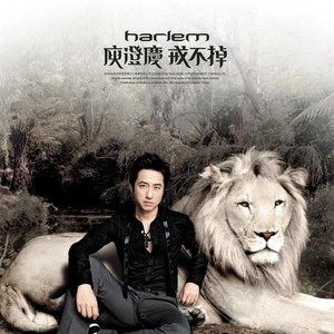 庾澄庆《戒不掉》Flac/MP3格式 无损音乐下载-无损音乐源