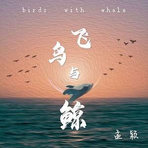 孟颖《飞鸟与鲸》Flac/MP3格式 无损音乐下载-无损音乐源