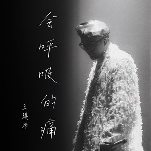 王琪玮《会呼吸的痛》Flac/MP3格式 无损音乐下载-无损音乐源