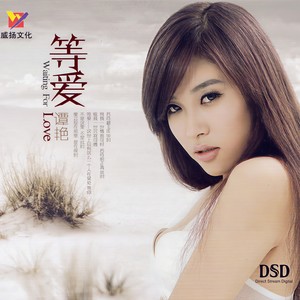 谭艳《别爱我》Flac/MP3格式 无损音乐下载-无损音乐源