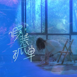 小柒《假装孤单》Flac/MP3格式 无损音乐下载-无损音乐源