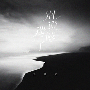 王樾安《别说遗憾了》Flac/MP3格式 无损音乐下载-无损音乐源