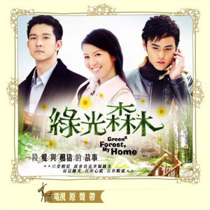阿爆《绿光传说》Flac/MP3格式 无损音乐下载-无损音乐源