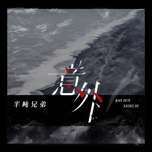 半吨兄弟《意外》Flac/MP3格式 无损音乐下载-无损音乐源
