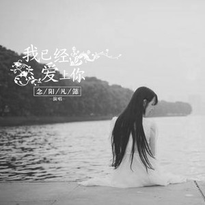 念阳凡懿《我已经爱上你》Flac/MP3格式 无损音乐下载-无损音乐源