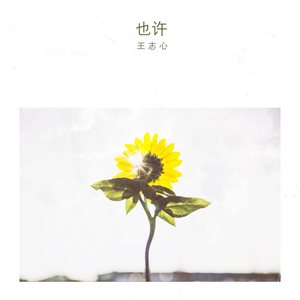 王志心《也许》Flac/MP3格式 无损音乐下载-无损音乐源