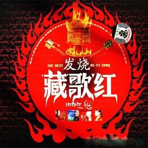 童彤《家乡》Flac/MP3格式 无损音乐下载-无损音乐源