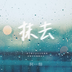 阿细《抹去》Flac/MP3格式 无损音乐下载-无损音乐源