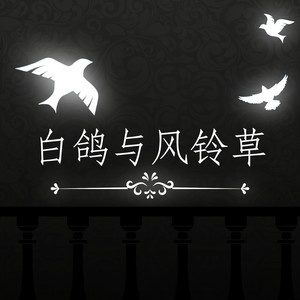 洛少爷《白鸽与风铃草》Flac/MP3格式 无损音乐下载-无损音乐源