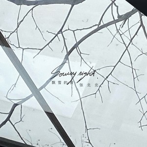 张北北《飘雪的夜》Flac/MP3格式 无损音乐下载-无损音乐源