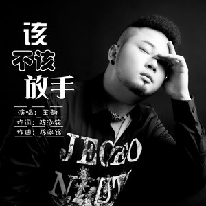 王韵《该不该放手》Flac/MP3格式 无损音乐下载-无损音乐源