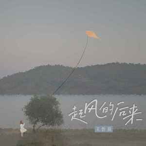 王忻辰《起风的后来》Flac/MP3格式 无损音乐下载-无损音乐源