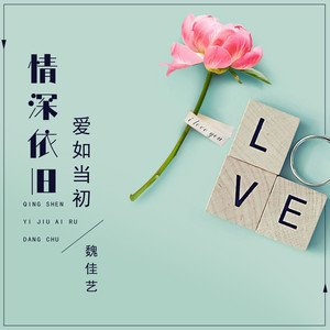 魏佳艺《情深依旧爱如当初》Flac/MP3格式 无损音乐下载-无损音乐源