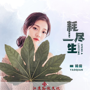 姚倩《耗尽一生》Flac/MP3格式 无损音乐下载-无损音乐源