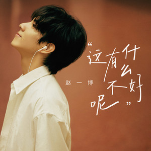 赵一博《这有什么不好呢》Flac/MP3格式 无损音乐下载-无损音乐源