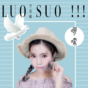 刘增瞳《啰嗦》Flac/MP3格式 无损音乐下载-无损音乐源