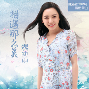 魏新雨《相遇那么美》Flac/MP3格式 无损音乐下载-无损音乐源