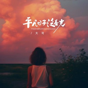 大可《平凡日子泛着光》Flac/MP3格式 无损音乐下载-无损音乐源
