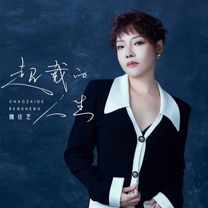 魏佳艺《超载的人生》Flac/MP3格式 无损音乐下载-无损音乐源