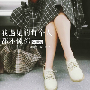张朋涛《我遇见的每个人都不像你》Flac/MP3格式 无损音乐下载-无损音乐源