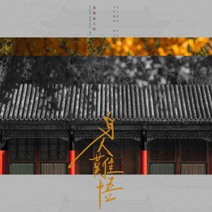 麻辣仙人球《良人难悟》Flac/MP3格式 无损音乐下载-无损音乐源