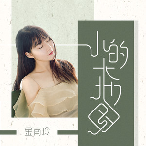 金南玲《小的大地图》Flac/MP3格式 无损音乐下载-无损音乐源