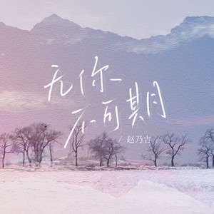 赵乃吉《无你不可期》Flac/MP3格式 无损音乐下载-无损音乐源