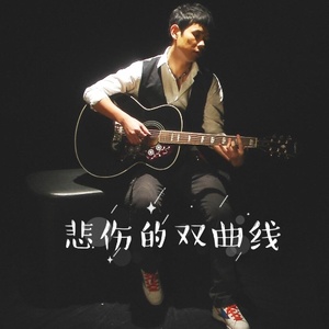 王渊超《悲伤的双曲线》Flac/MP3格式 无损音乐下载-无损音乐源