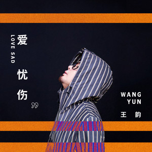 王韵《爱忧伤》Flac/MP3格式 无损音乐下载-无损音乐源