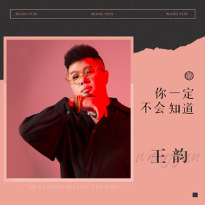 王韵《你一定不会知道》Flac/MP3格式 无损音乐下载-无损音乐源