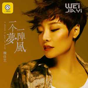 魏佳艺《一个梦一阵风》Flac/MP3格式 无损音乐下载-无损音乐源