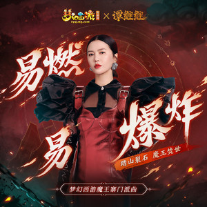 谭维维《易燃易爆炸》Flac/MP3格式 无损音乐下载-无损音乐源