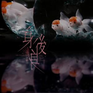 周国贤《身后身》Flac/MP3格式 无损音乐下载-无损音乐源