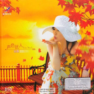 孙露《爱上不该爱的人》Flac/MP3格式 无损音乐下载-无损音乐源