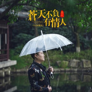 笑天《苍天不负有情人》Flac/MP3格式 无损音乐下载-无损音乐源
