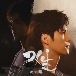 阿云嘎《双生》Flac/MP3格式 无损音乐下载-无损音乐源